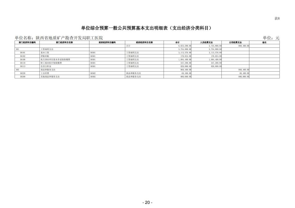 2023年陕西省地质矿产勘查开发局职工医院部门预算_21.jpg