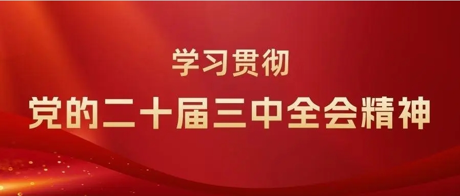 一图读懂党的二十届三中全会公报